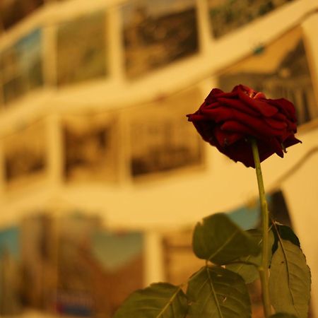 Moosica Hostel Tiflis Dış mekan fotoğraf