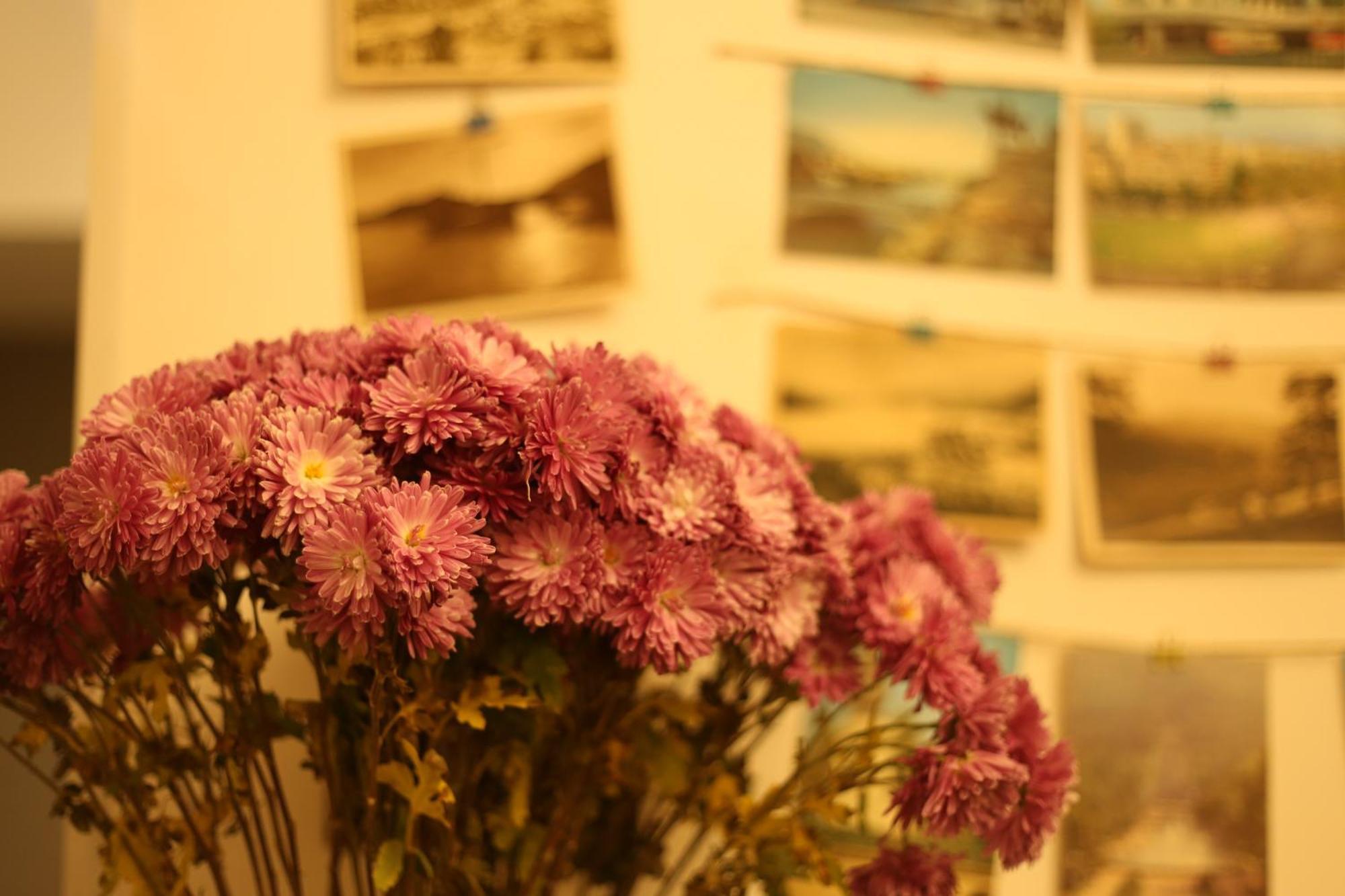Moosica Hostel Tiflis Dış mekan fotoğraf
